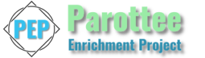 PEP Logo